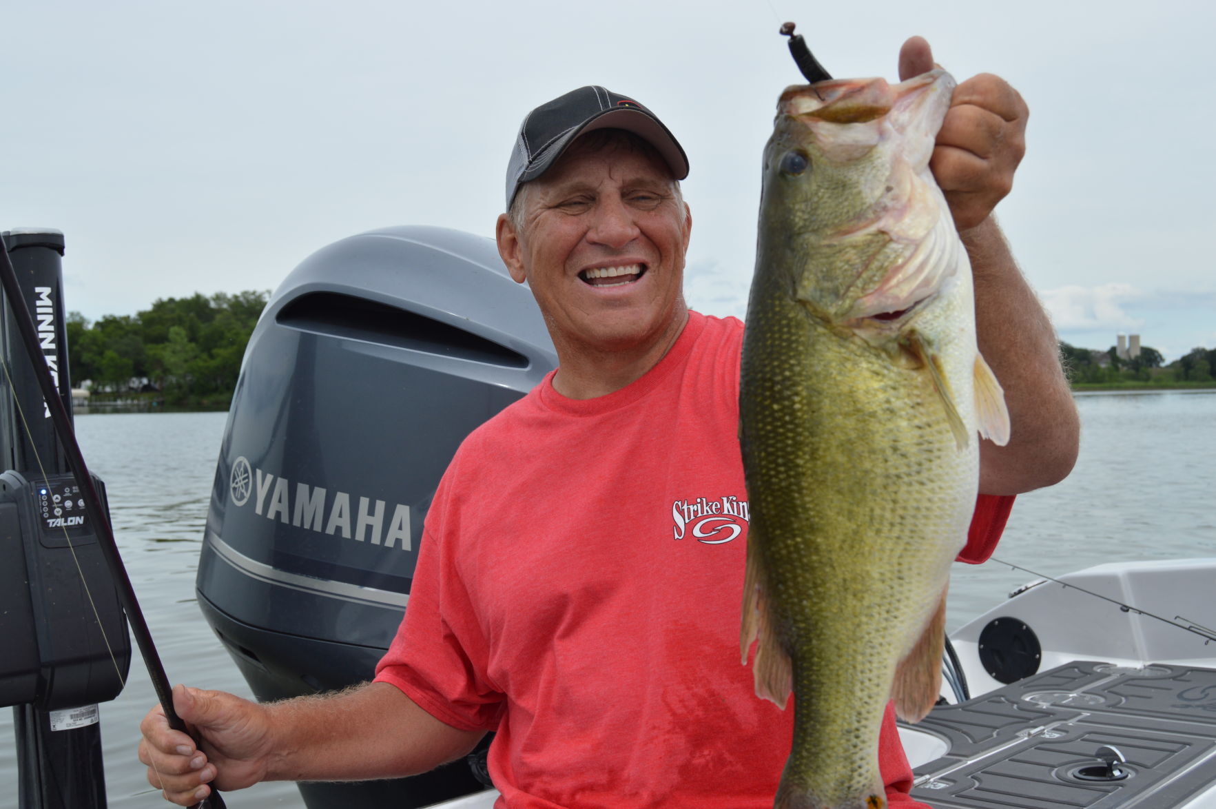 Largemouth bass